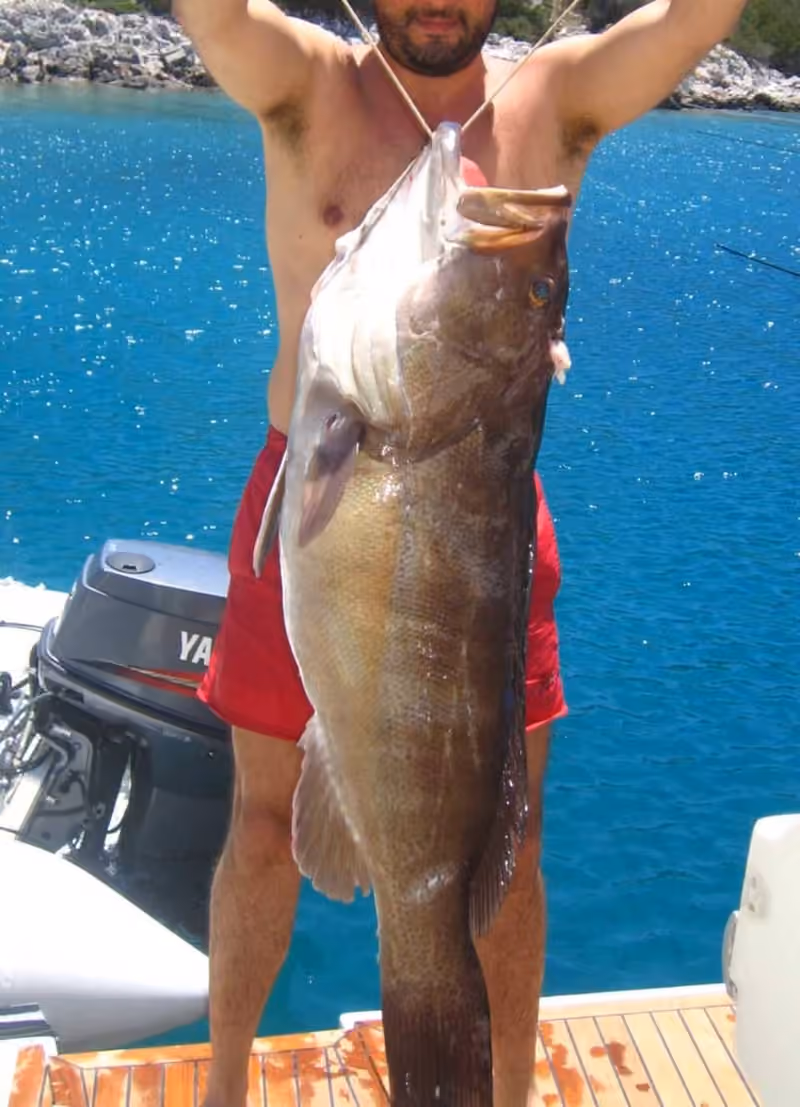 Dokumentasi Epinephelus aeneus